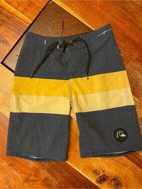 Quiksilver Stripe Boardshorts